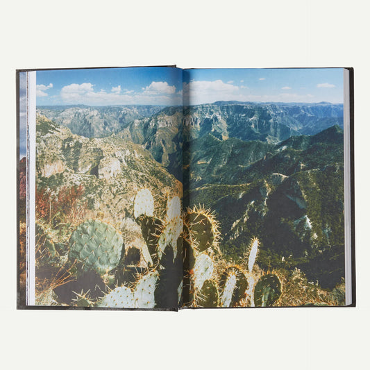 Was It Worth It?: A Wilderness Warrior's Long Trail Home (by Doug Peacock)
