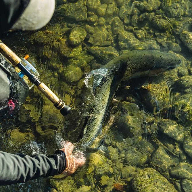 Men's Shop by Sport Fly Fish