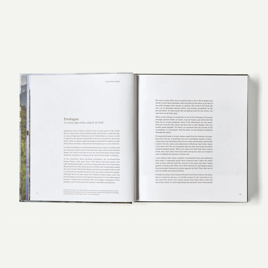Into the Thaw: Witnessing Wonder amid the Arctic Climate Crisis (hardcover, published by Patagonia)