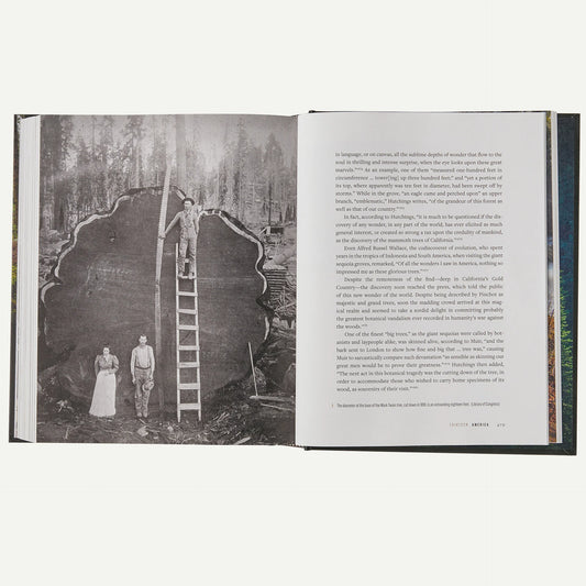 A Forest Journey: The Role of Trees in the Fate of Civilization (hardcover, published by Patagonia)