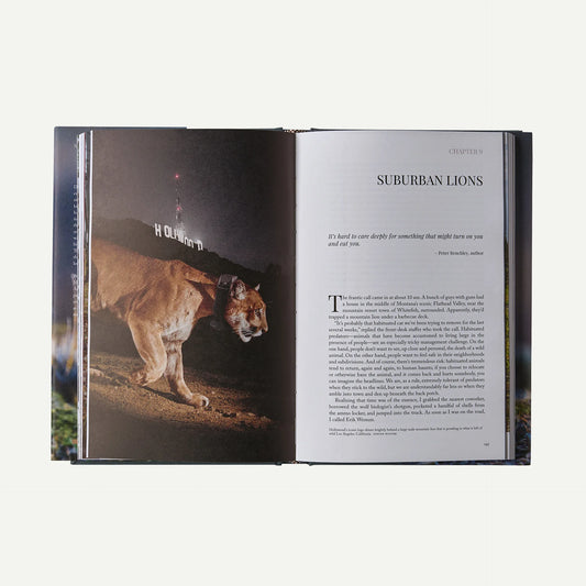 Path of the Puma: The Remarkable Resilience of the Mountain Lion (hardcover book)