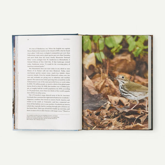 Roam: Wild Animals and the Race to Repair Our Fractured World, hardcover, published by Patagonia