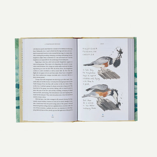 A Temporary Refuge: Fourteen Seasons with Wild Summer Steelhead by Lee Spencer (hardcover book)