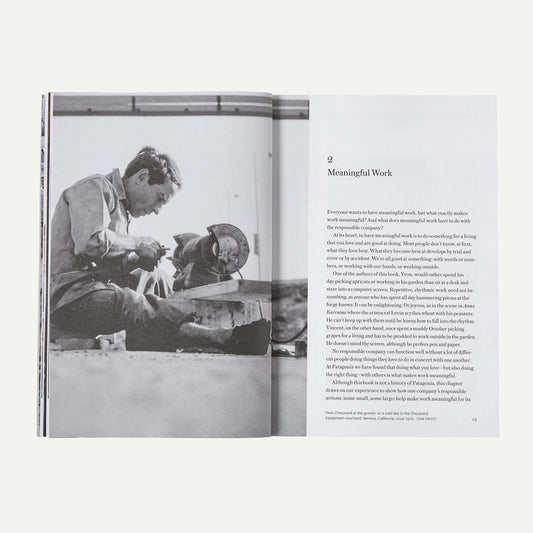 The Future of the Responsible Company: What We've Learned from Patagonia's First 50 Years (paperback, published by Patagonia)