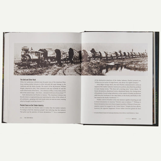 A Forest Journey: The Role of Trees in the Fate of Civilization (hardcover, published by Patagonia)